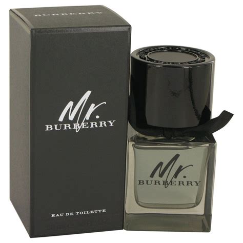 mr burberry the bay|Burberry mr Burberry cologne.